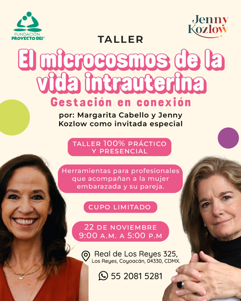 El microcosmos de la vida uterina
