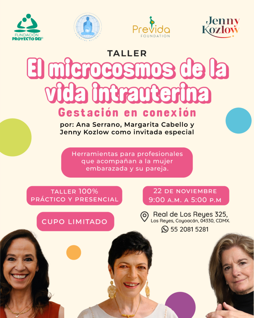 El microcosmos de la vida intrauterina